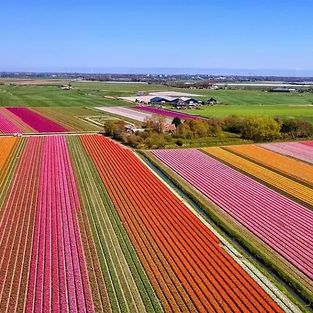 Дом отдыха Duin *